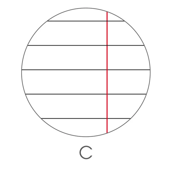 Maxiquaderno Be More Urban 2024 - A4 - 1 rigo c/margine - 36+2 fogli - 100 gr - BM